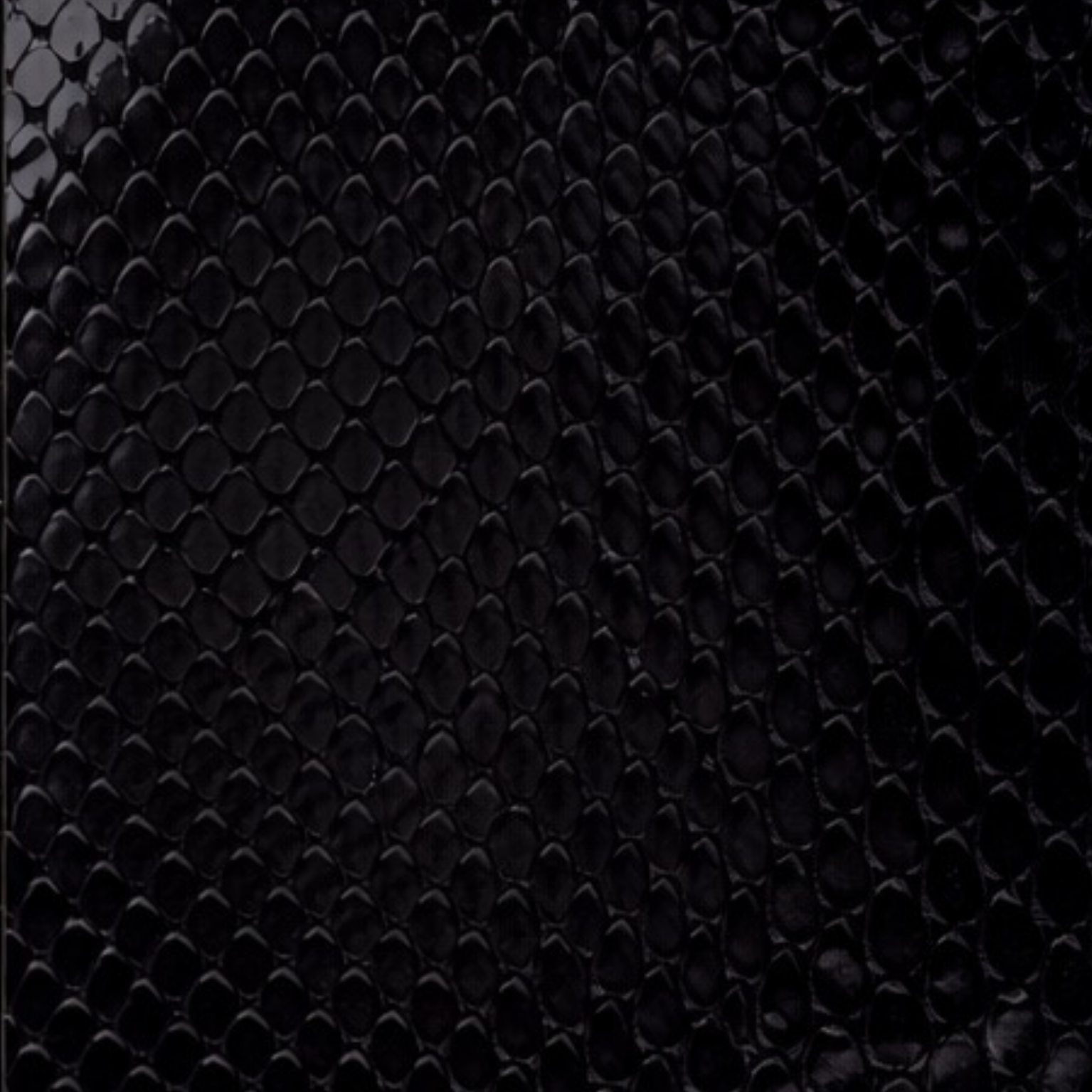 Python Vivid Blackout