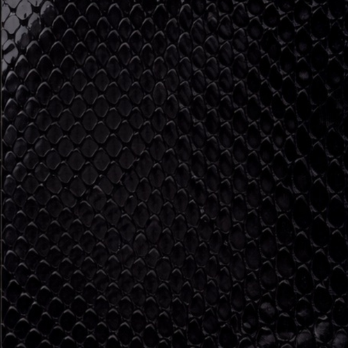 Python Vivid Blackout