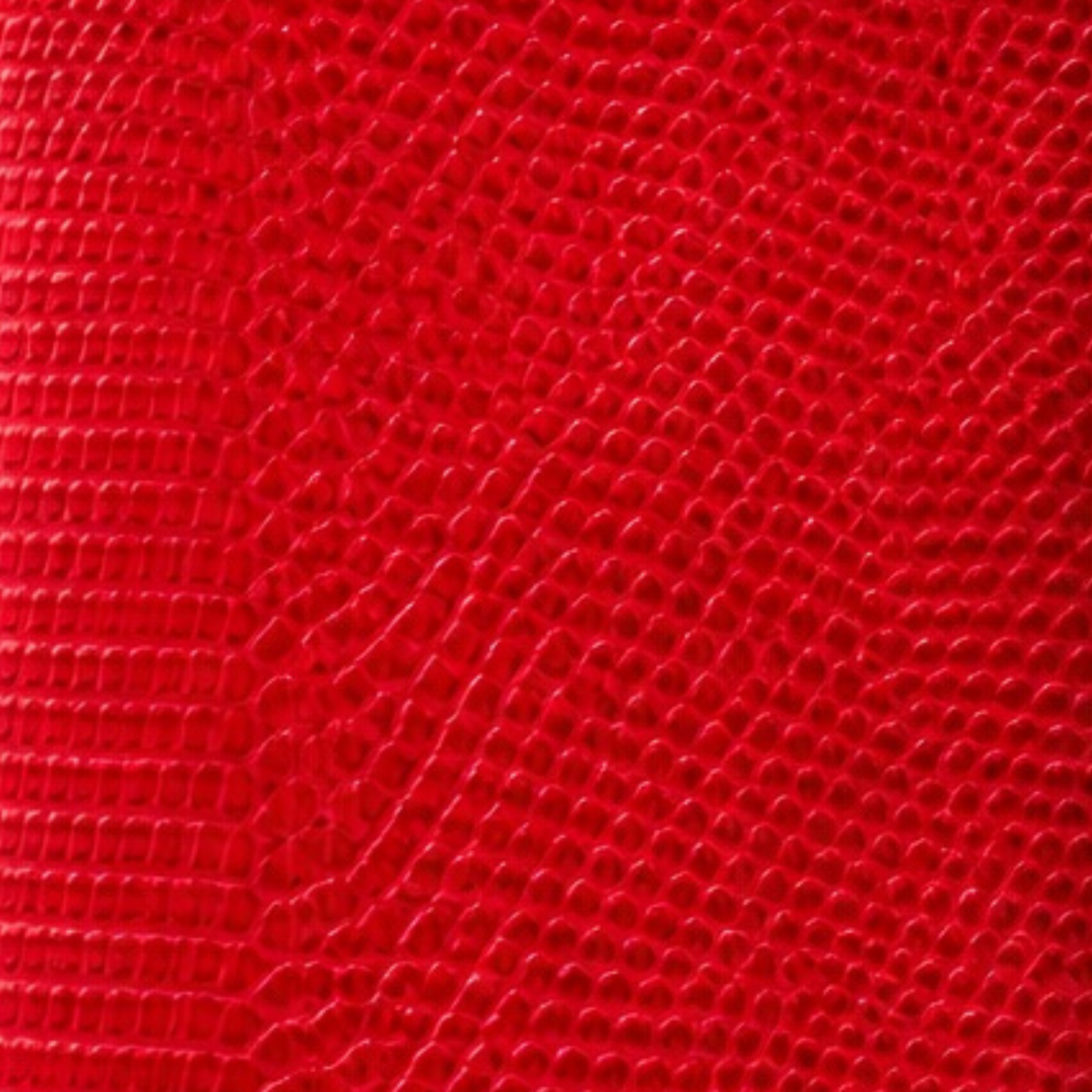 Lizard Gloss Rouge