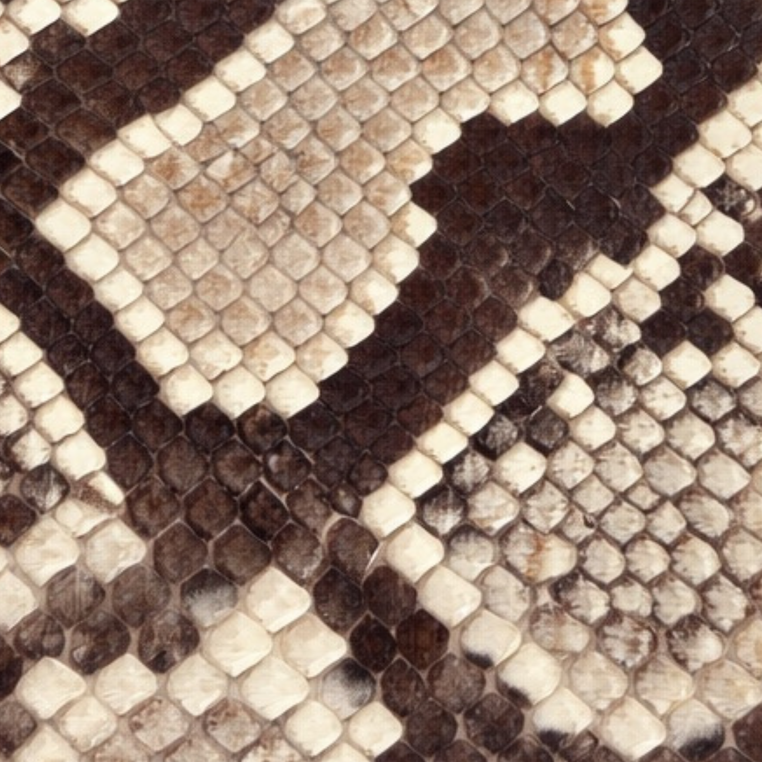 Python Vivid Natural