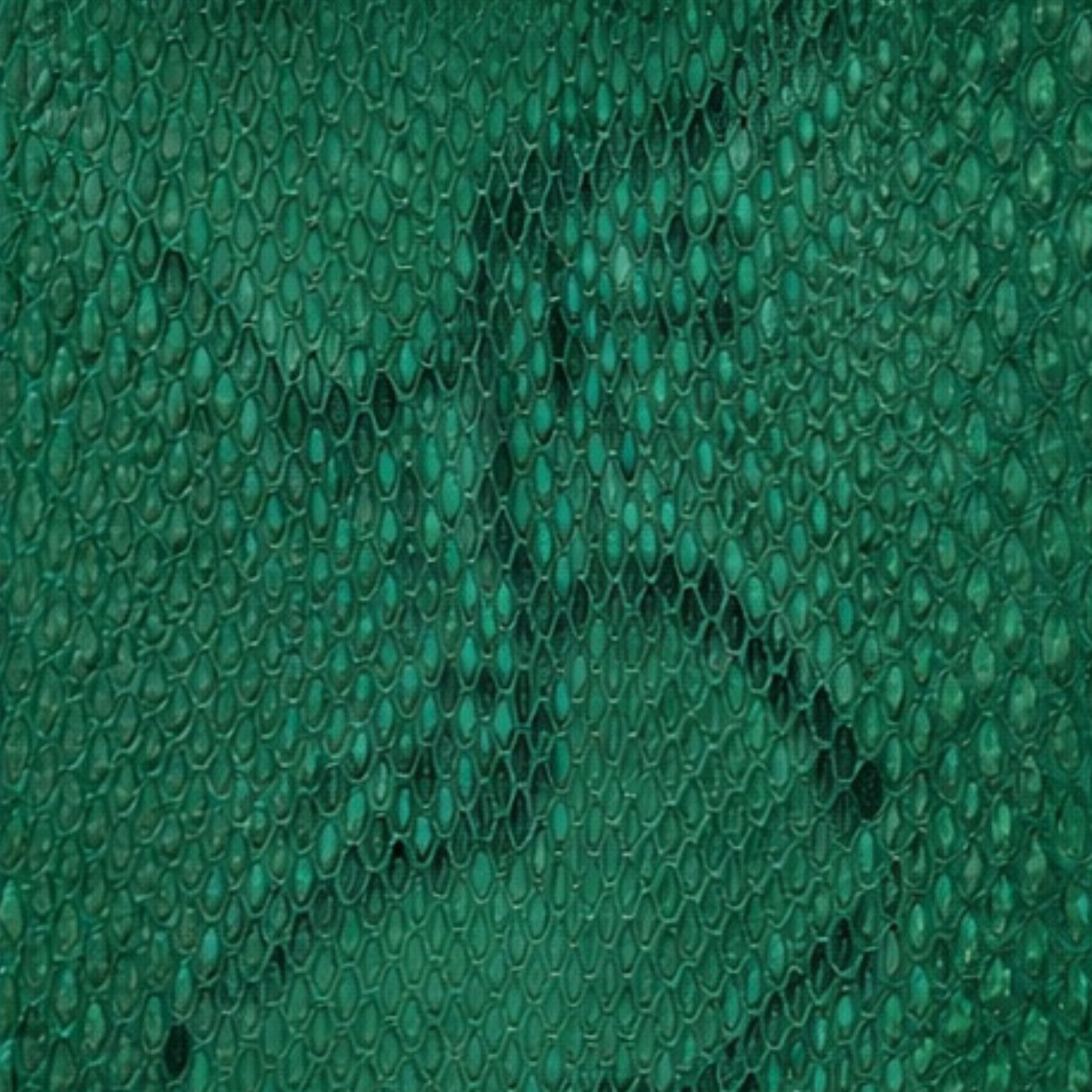 Python Vivid Green Jungle
