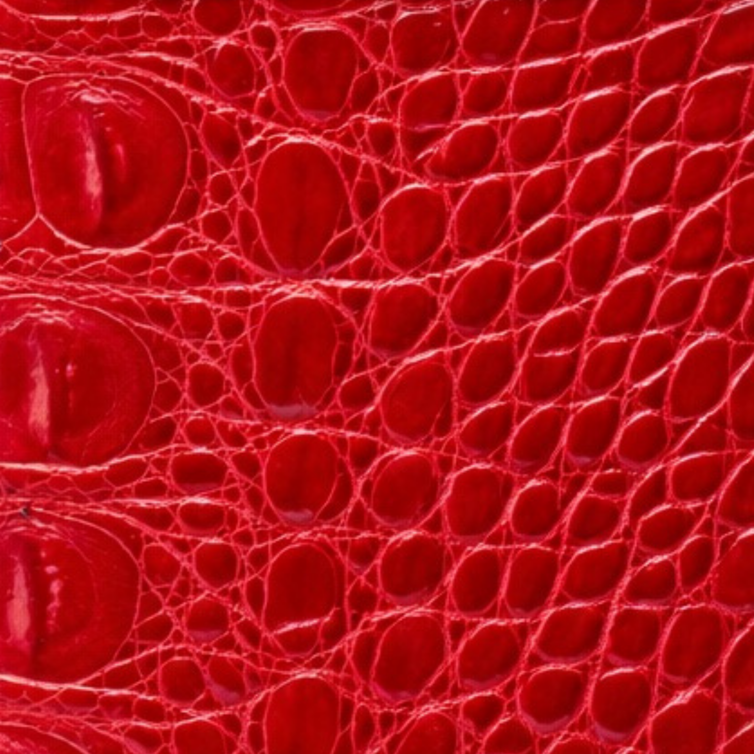 Alligator Heritage Red
