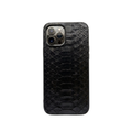 Phyton black iPhone 12 Pro Max