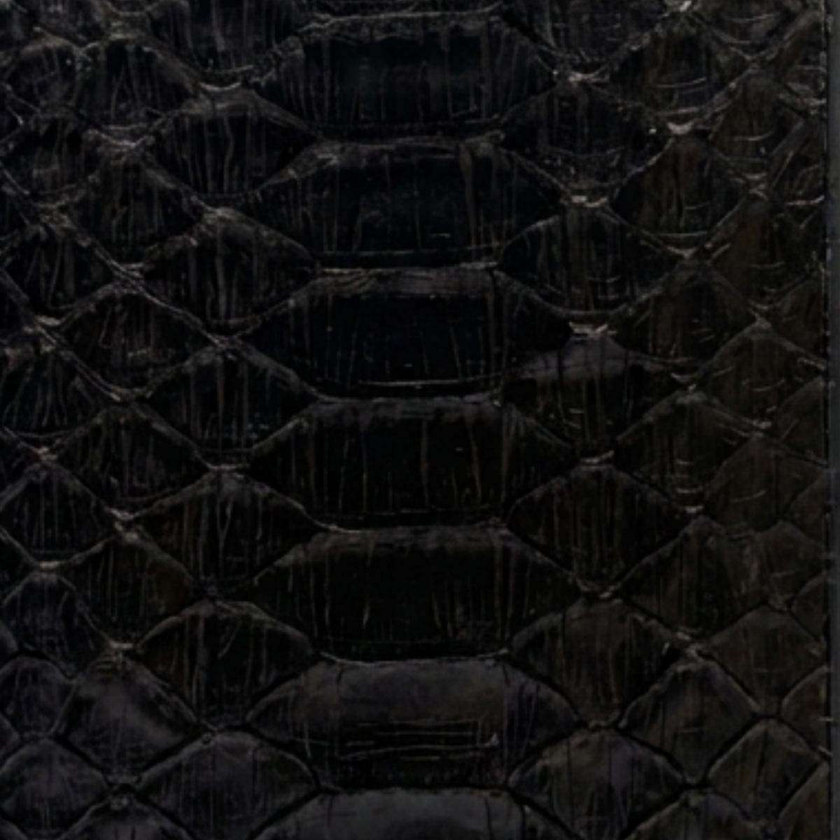 Phyton black iPhone 12 Pro Max