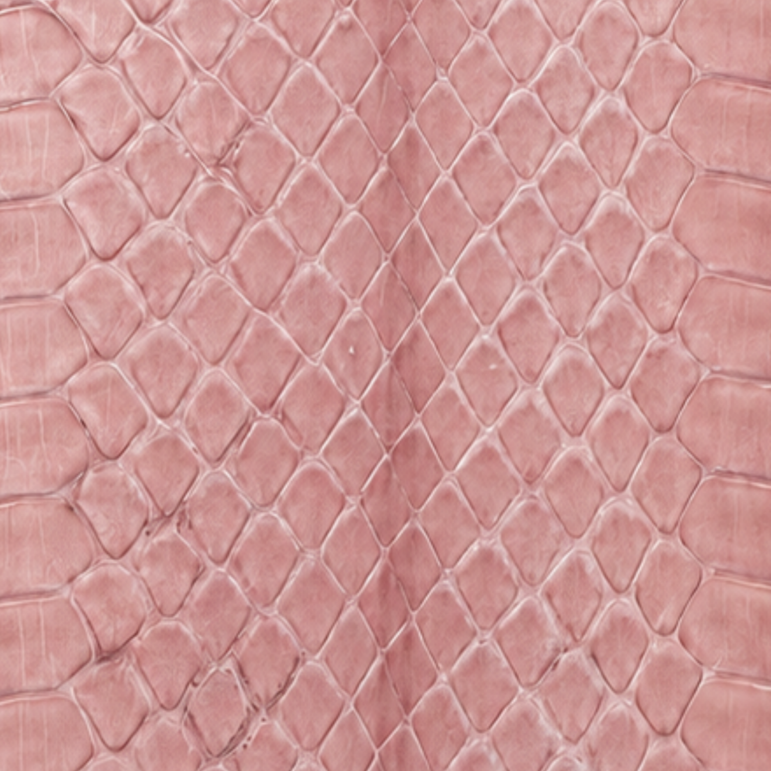 Capri Blush