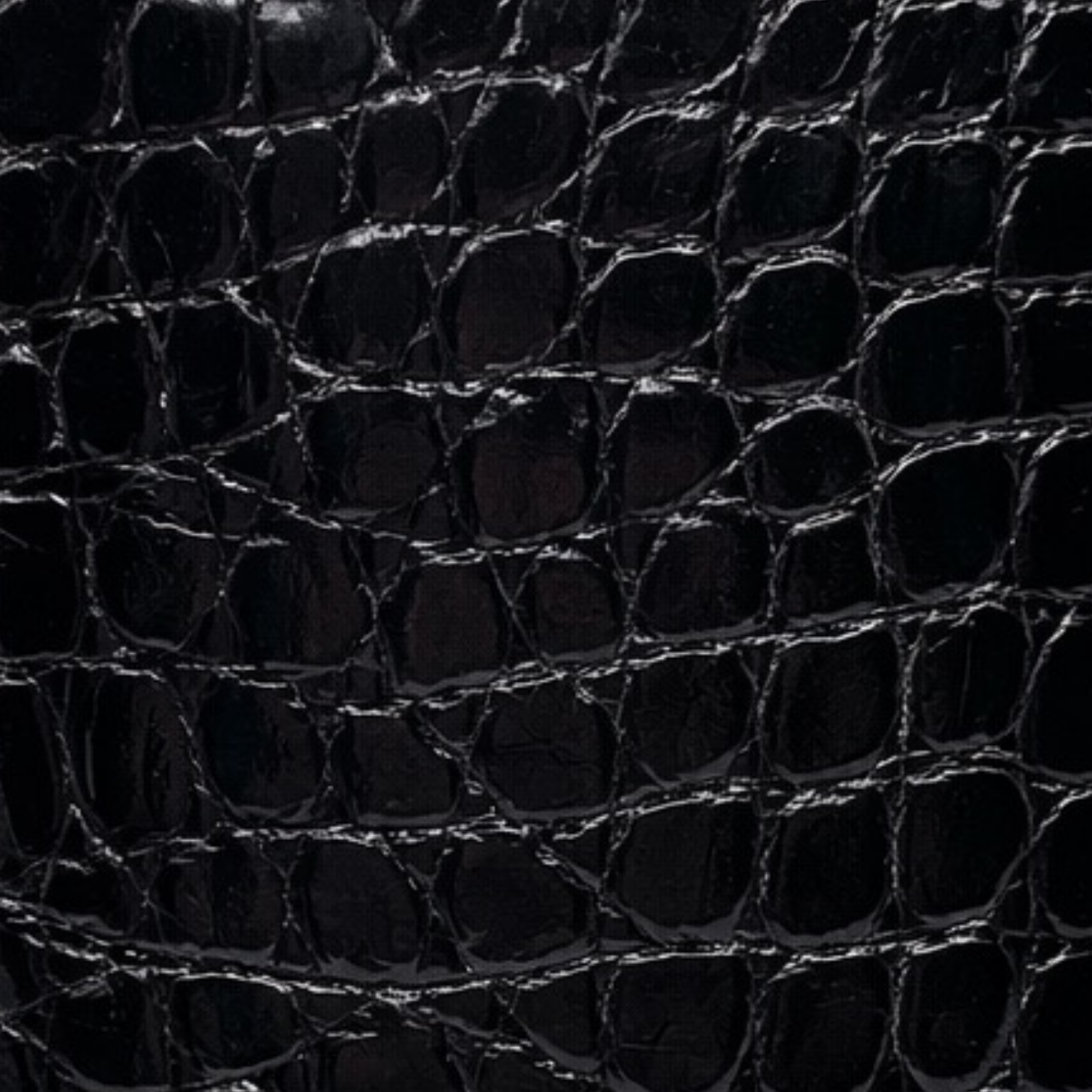 Alligator Heritage Black Gloss