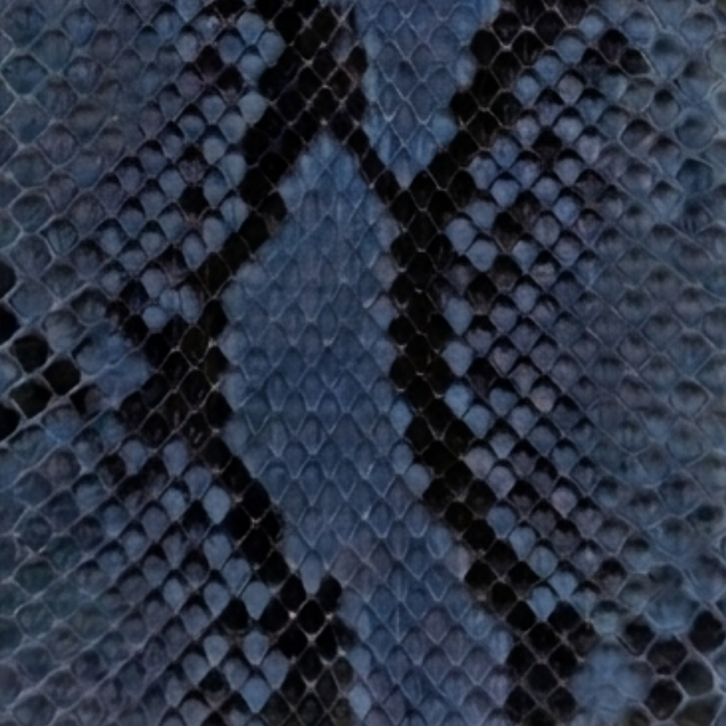 Phyton Blue IPhone XR