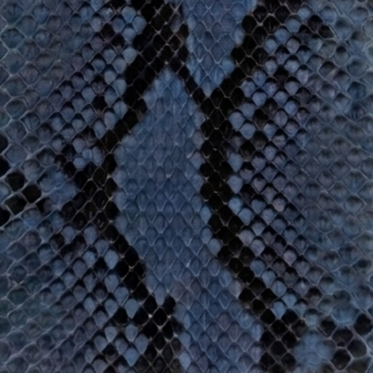 Phyton Blue IPhone XR