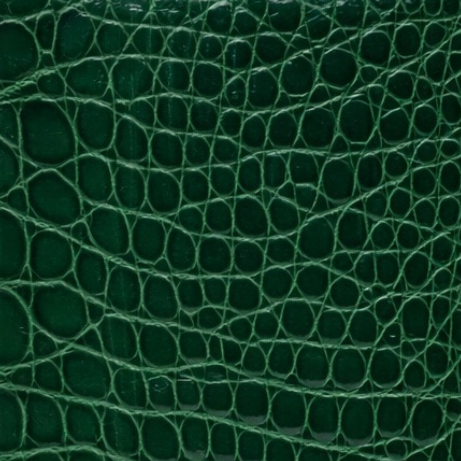 Alligator Heritage Jade