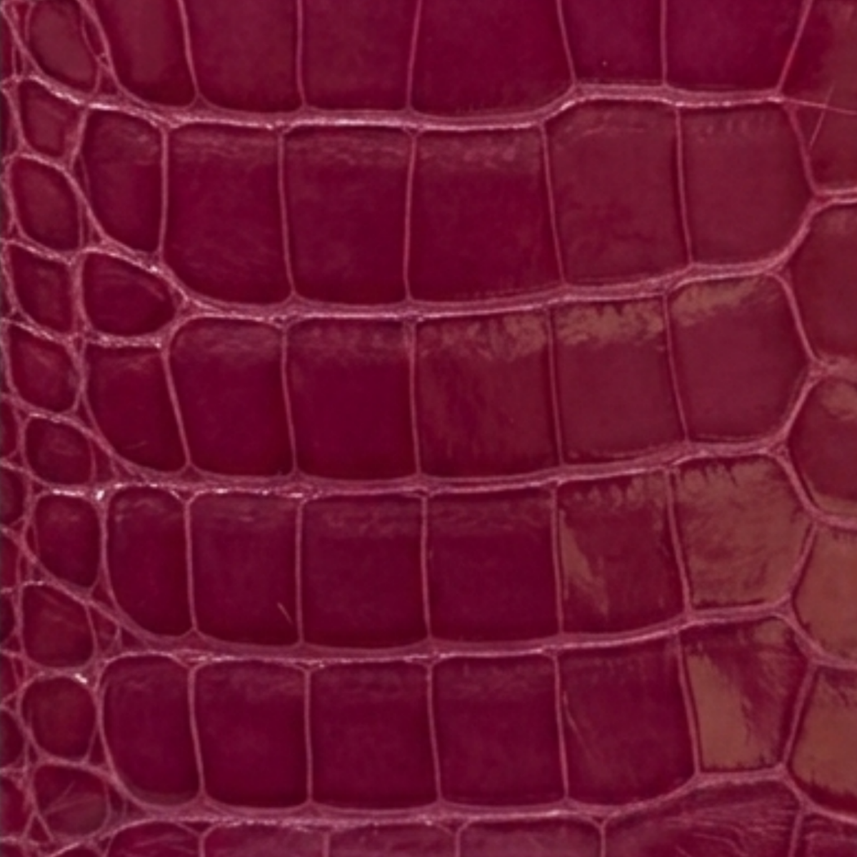 Alligator Pink IPhone 12 Pro Max