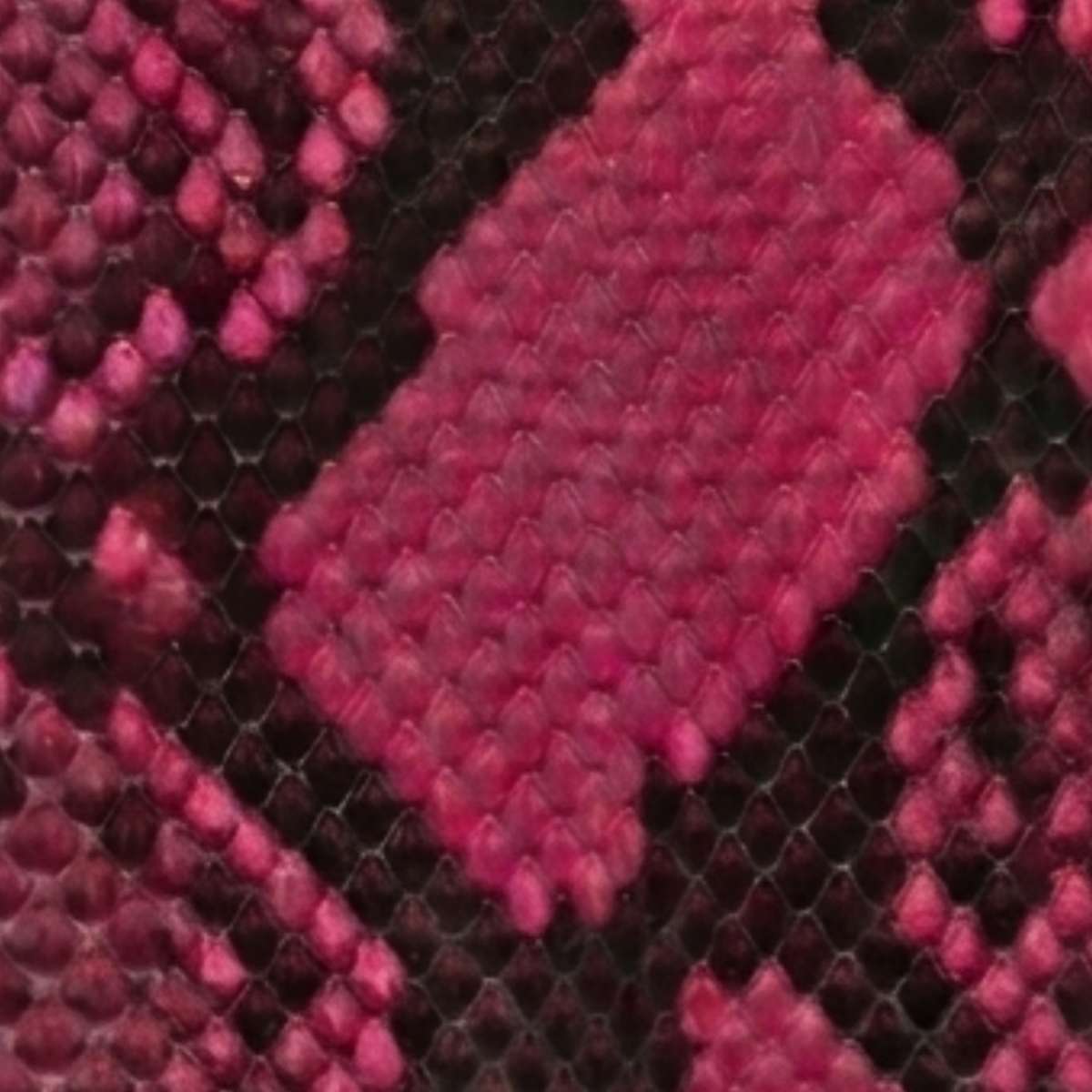 Phyton Pink IPhone 11 Pro Max