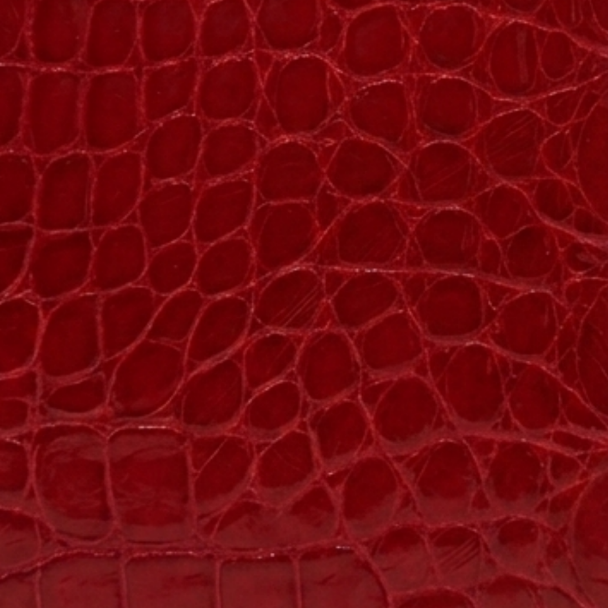 Alligator Red IPhone 12/12 Pro