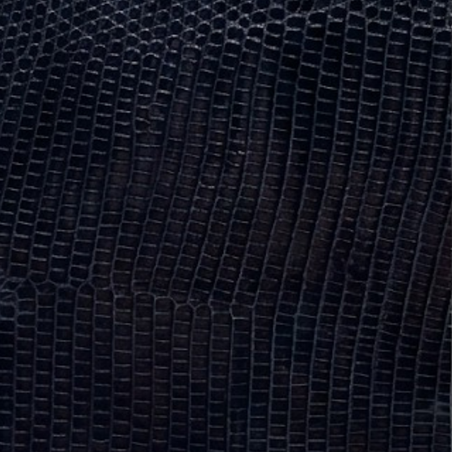 Lizard Gloss Noir